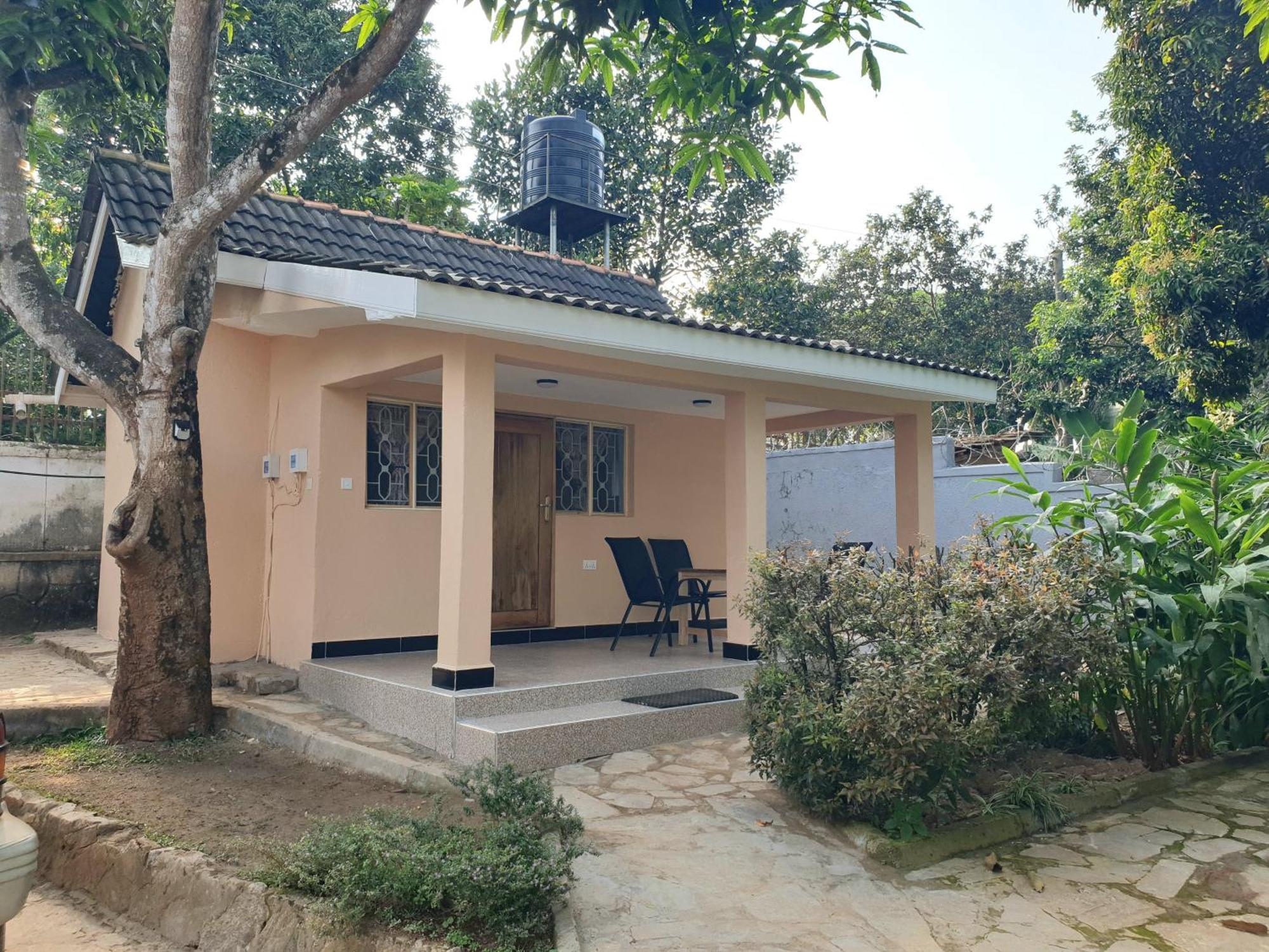 Alison & Dave'S Guesthouse Entebbe Dış mekan fotoğraf